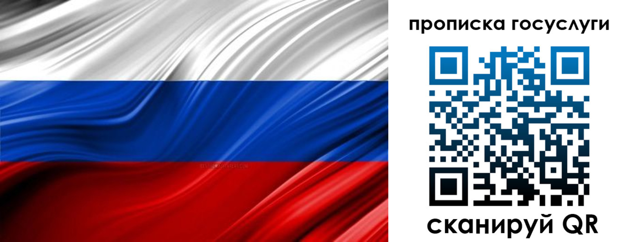 прописка паспорт в Калининградской области